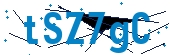 recaptcha